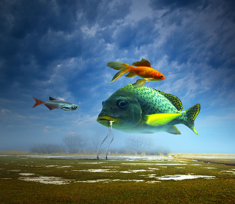 1473647089191887.jpg 動(dòng)物藝術(shù)2.jpg