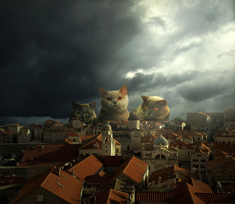 1473647107616308.jpg 動(dòng)物藝術(shù)3.jpg