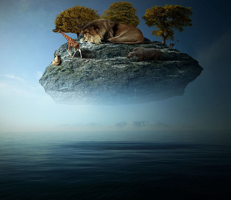 1473647151731243.jpg 動(dòng)物藝術(shù)8.jpg