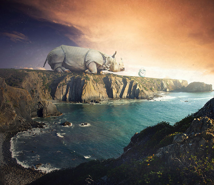 1473647170205041.jpg 動(dòng)物藝術(shù)10.jpg